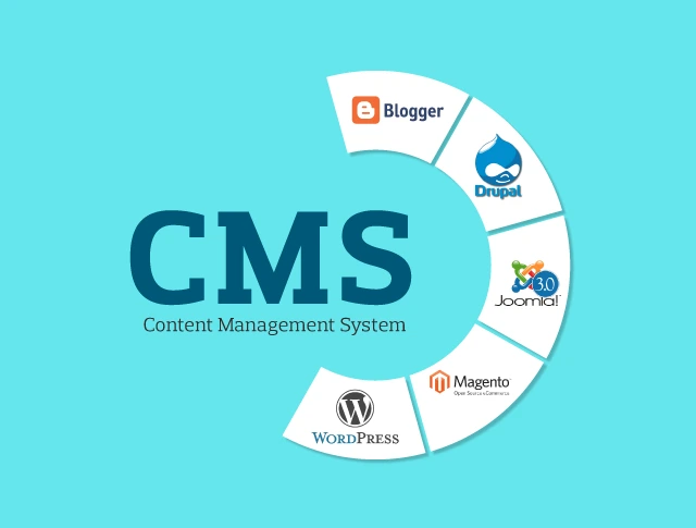 Content Management System (CMS) for easy website management and dynamic content updates